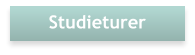 Studieturer
